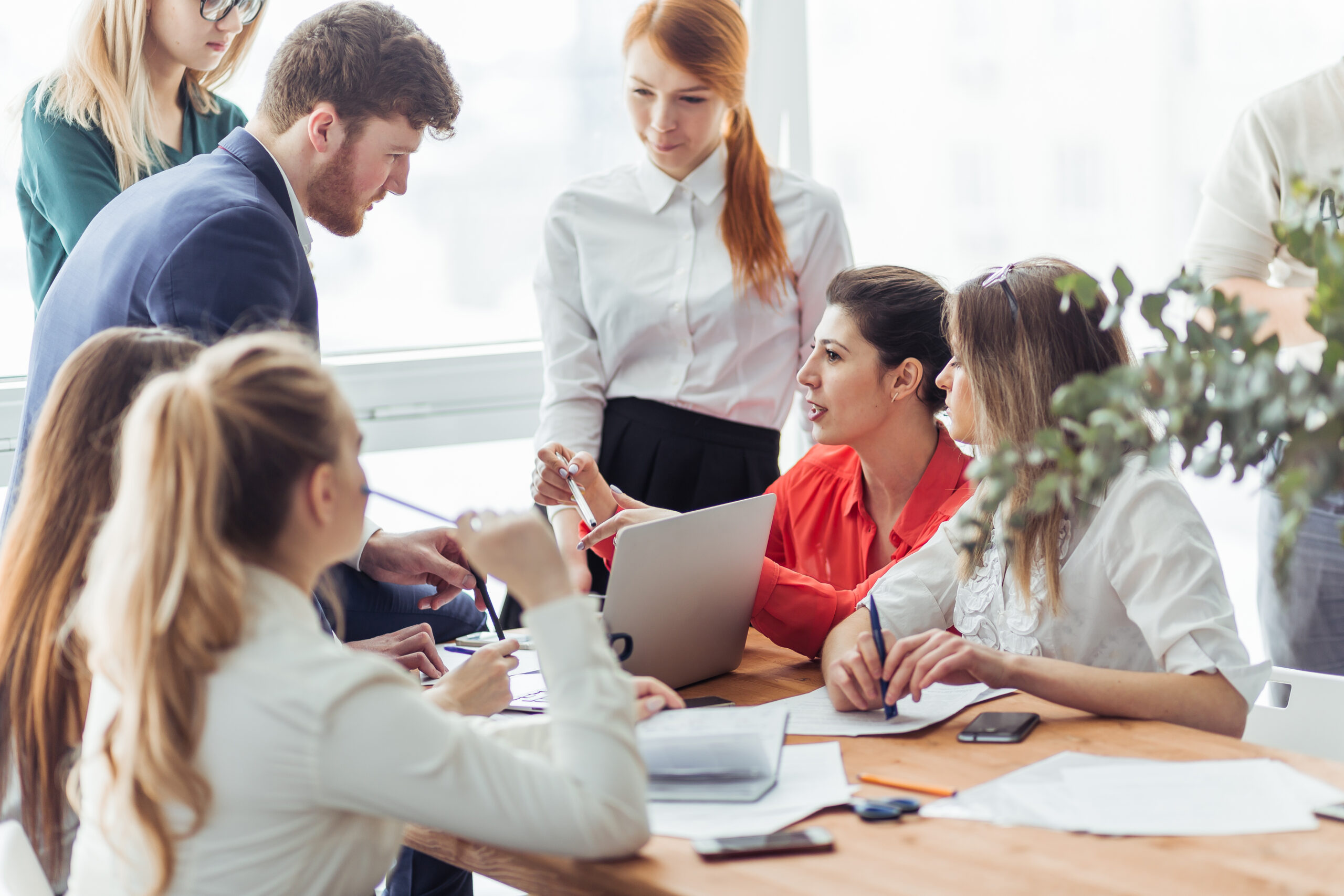 harvest for interior designers